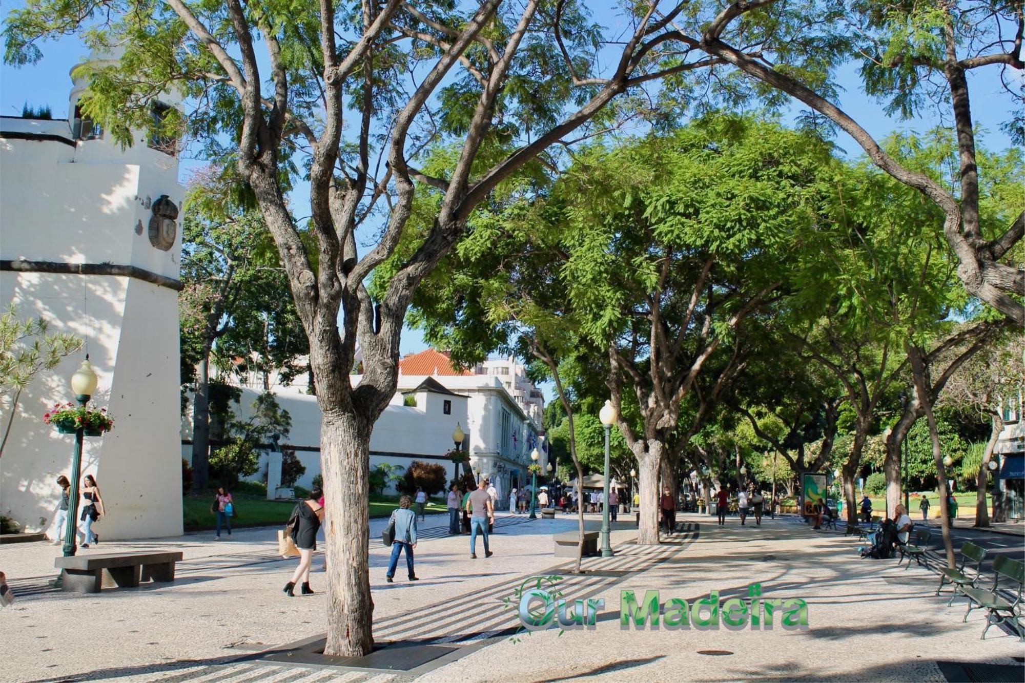 Apartmán Ourmadeira - Heart Of Old Town I Funchal  Exteriér fotografie